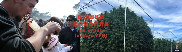 стаф Богородицк