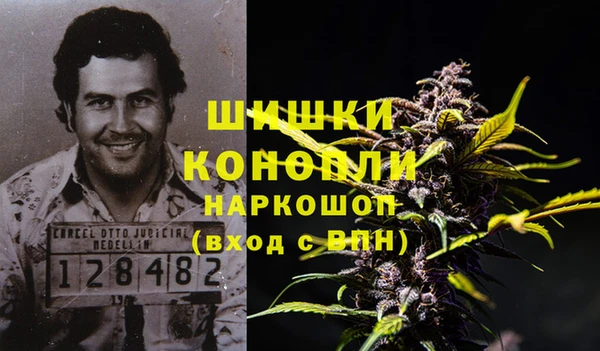 стаф Богородицк