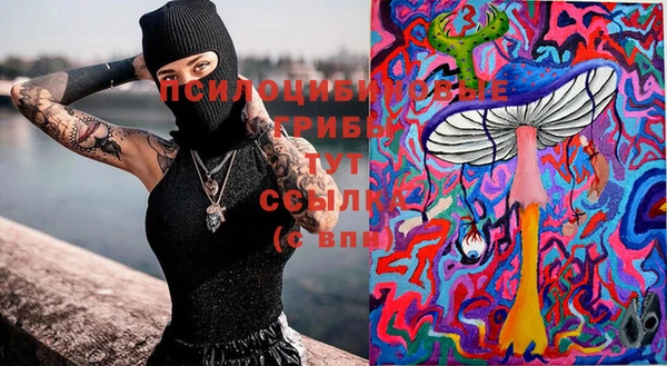 стаф Богородицк