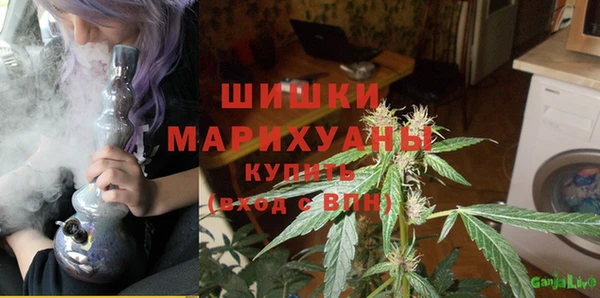 стаф Богородицк