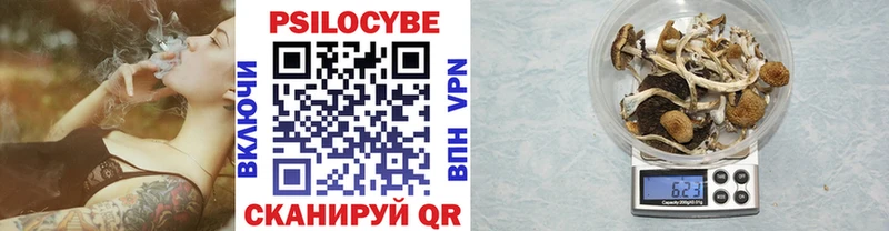 Псилоцибиновые грибы Psilocybine cubensis где найти наркотики darknet формула Северодвинск